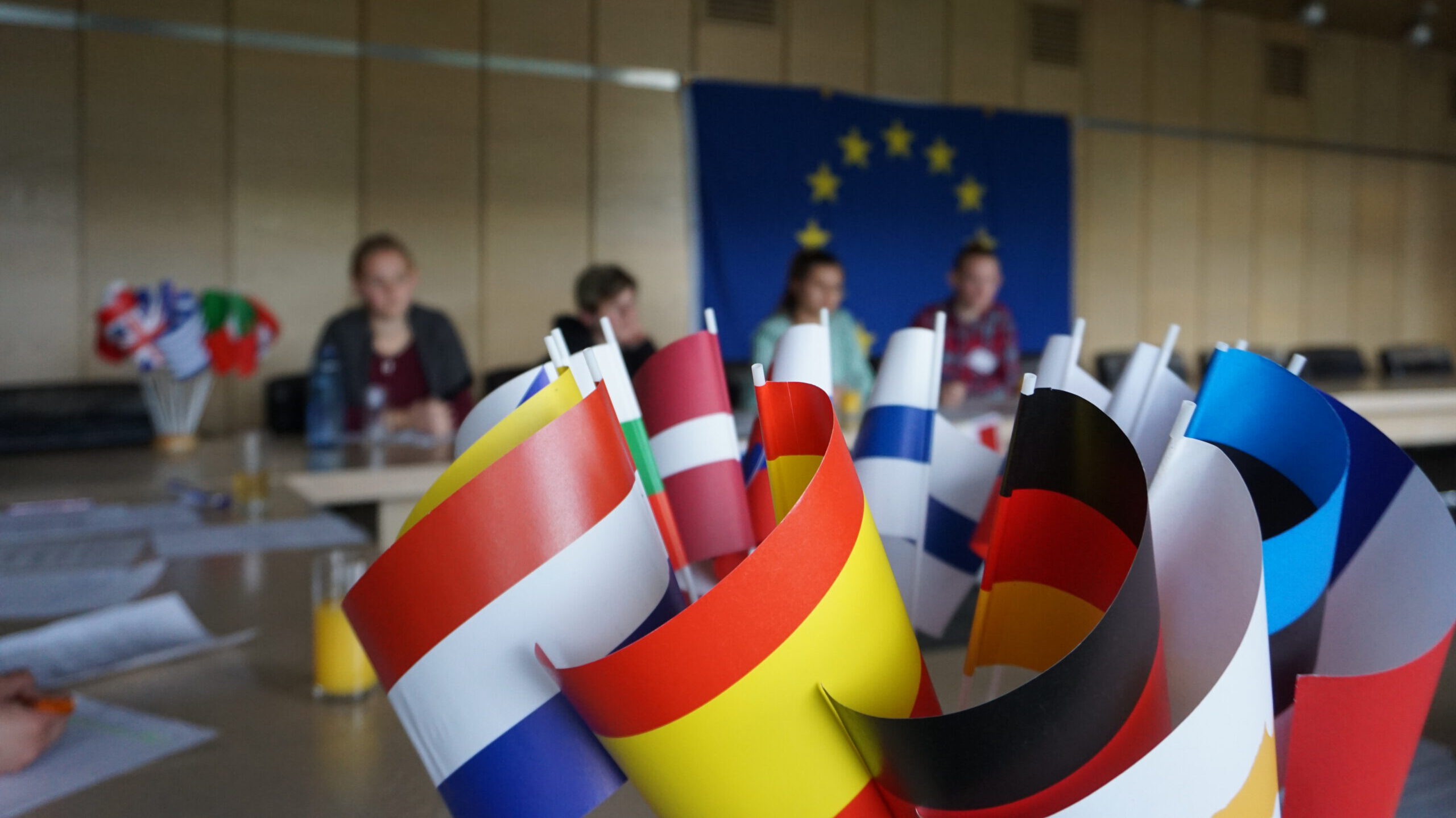 Europaflaggen in Sitzungssaal